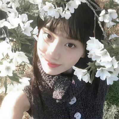 我是公务员 在线观看